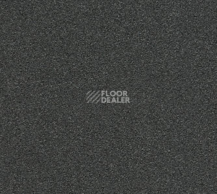 Ковровая плитка Interface Heuga 725 672501 Graphite фото 1 | FLOORDEALER